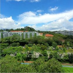 Blk 941 Jurong West Street 91 (Jurong West), HDB 4 Rooms #452665531